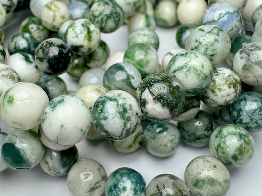 Tree Agate Bracelet