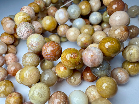 Fossilized Coral Bracelet