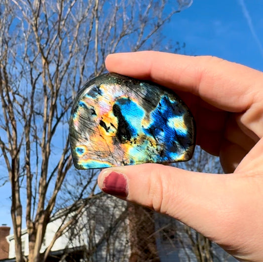 Black Labradorite Silver & Blue Flash Freeform - D