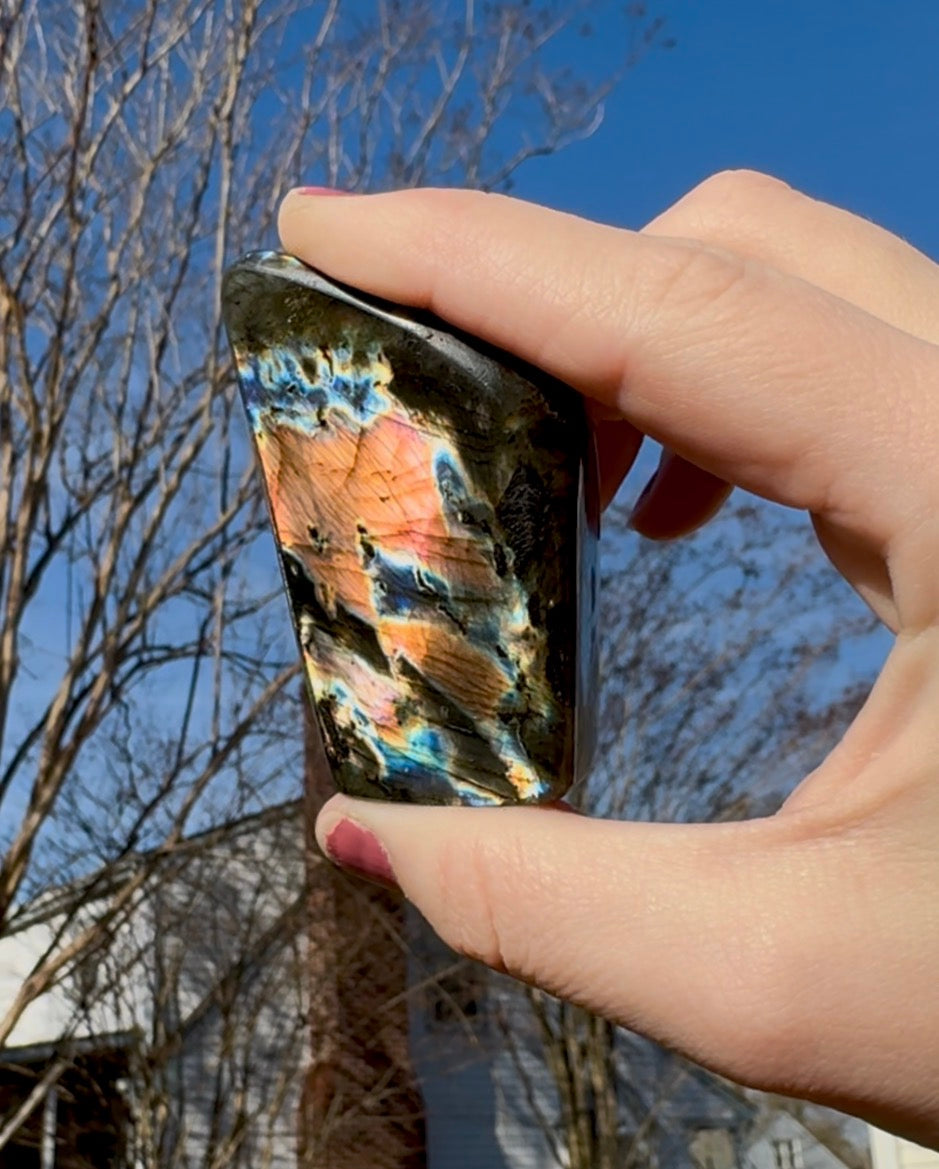 Black Labradorite Silver & Pink Flash Freeform - E