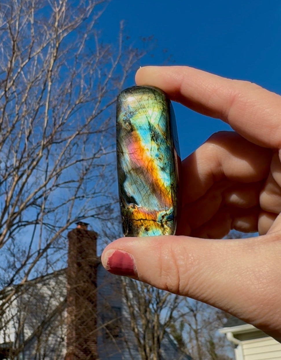 Black Labradorite Rainbow Flash Freeform - F