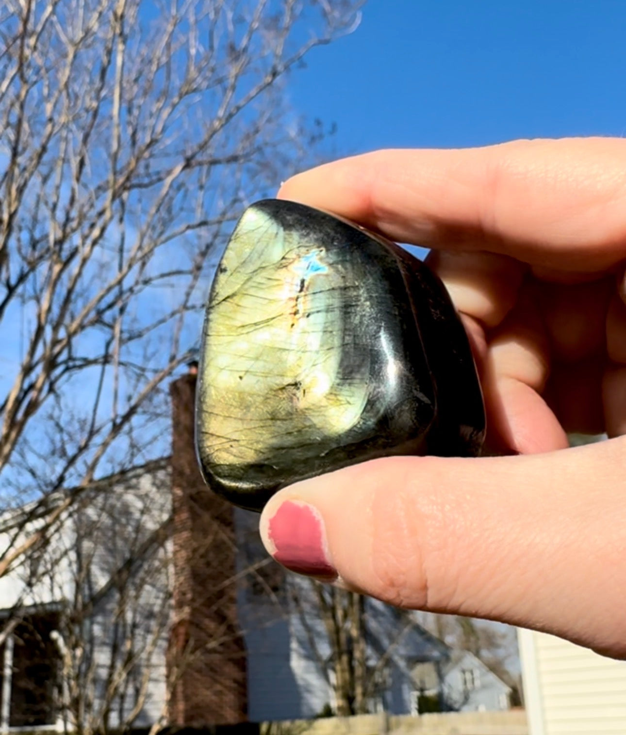 Black Labradorite Silver/Green Flash Freeform - G