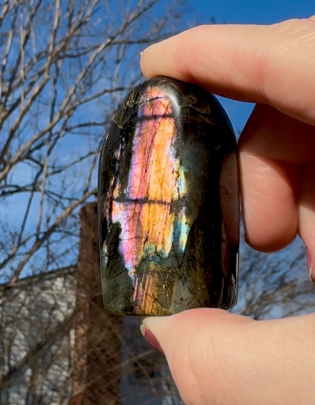 Black Labradorite Sunset Flash Freeform - K