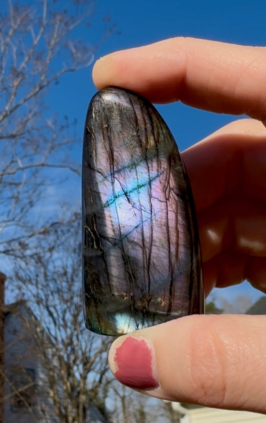 Black Labradorite Silver Mermaid Flash Freeform - M