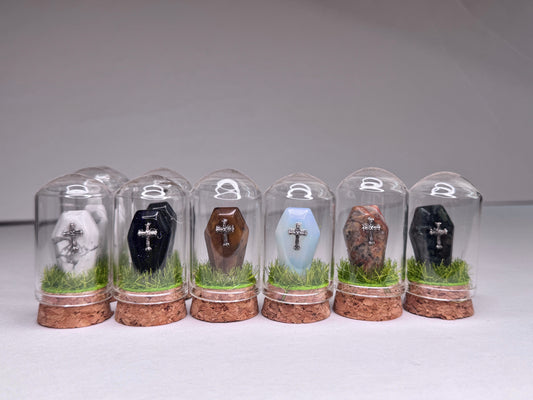 Sale! Coffin Terrariums