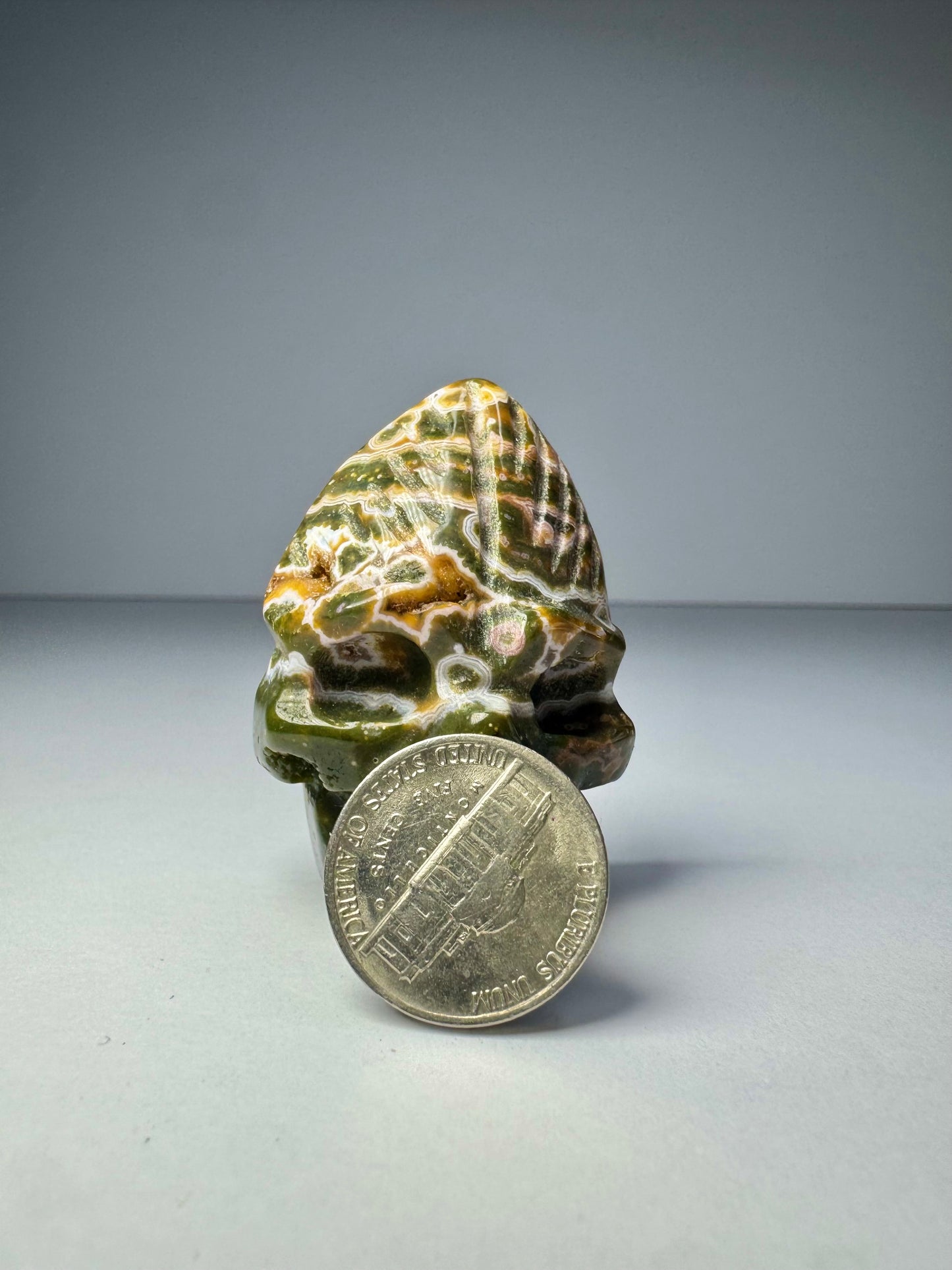 Orbicular Jasper Nature Skull - F