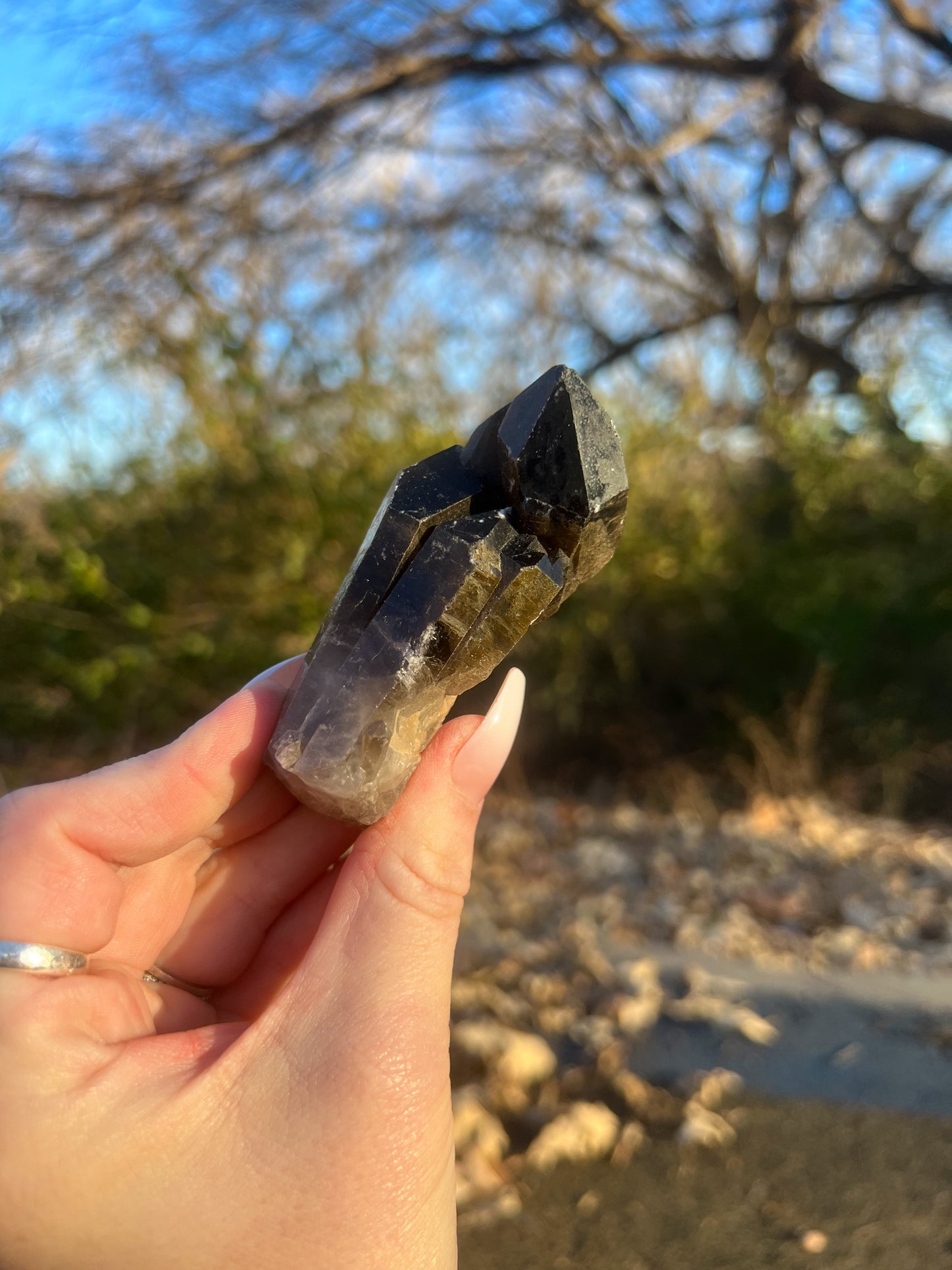 Small Smoky Quartz Cluster