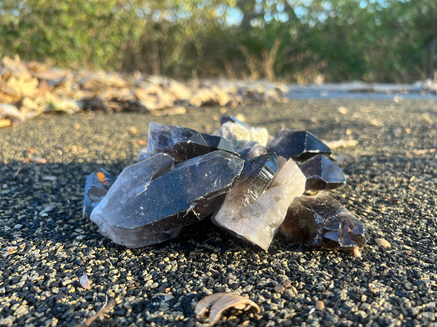 Small Smoky Quartz Cluster