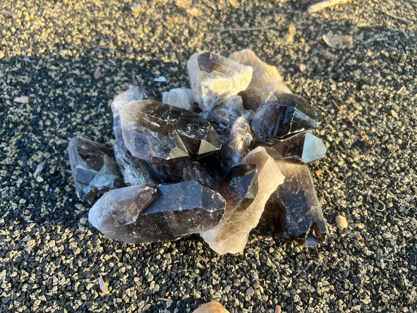 Small Smoky Quartz Cluster