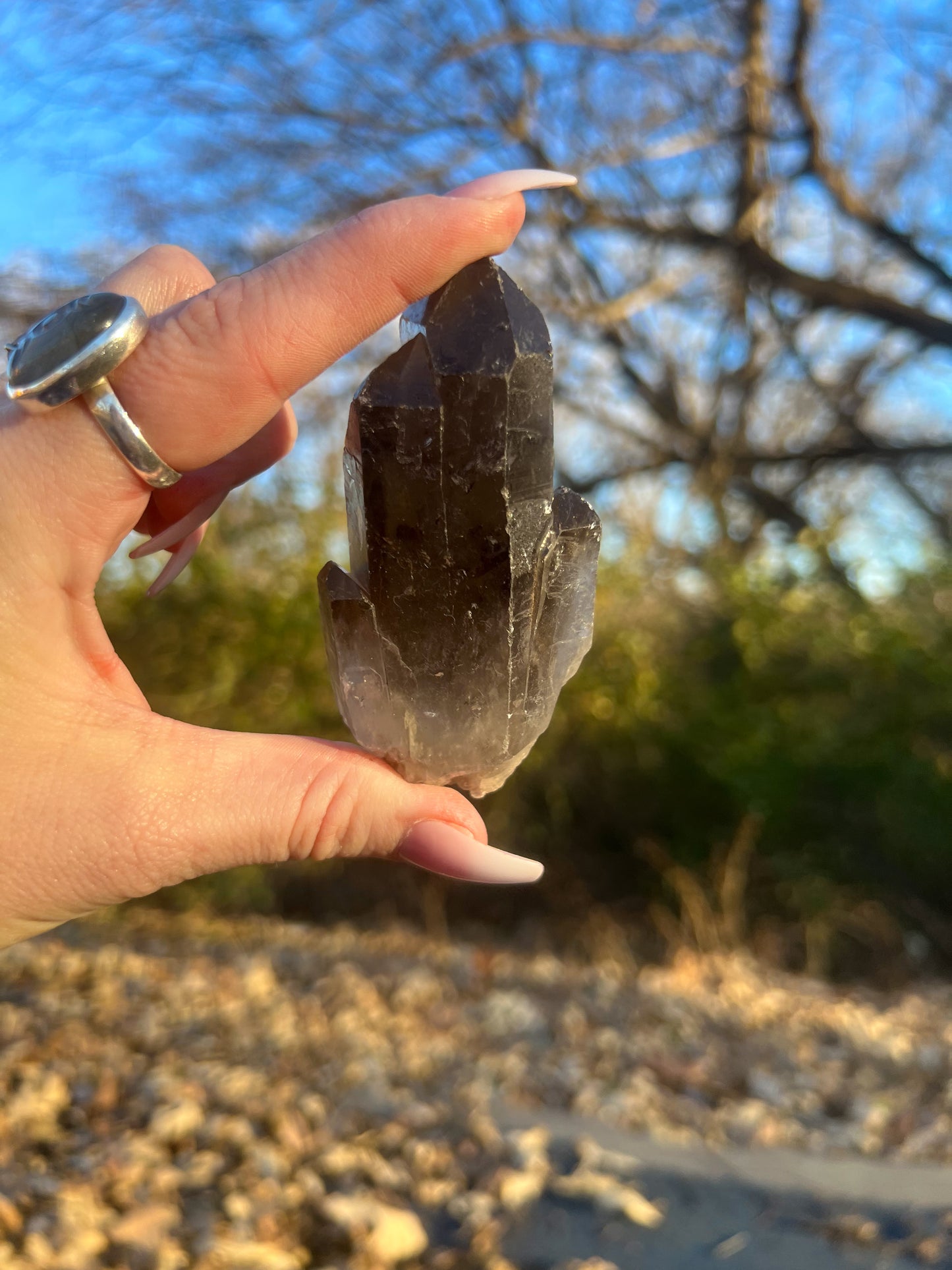 Small Smoky Quartz Cluster