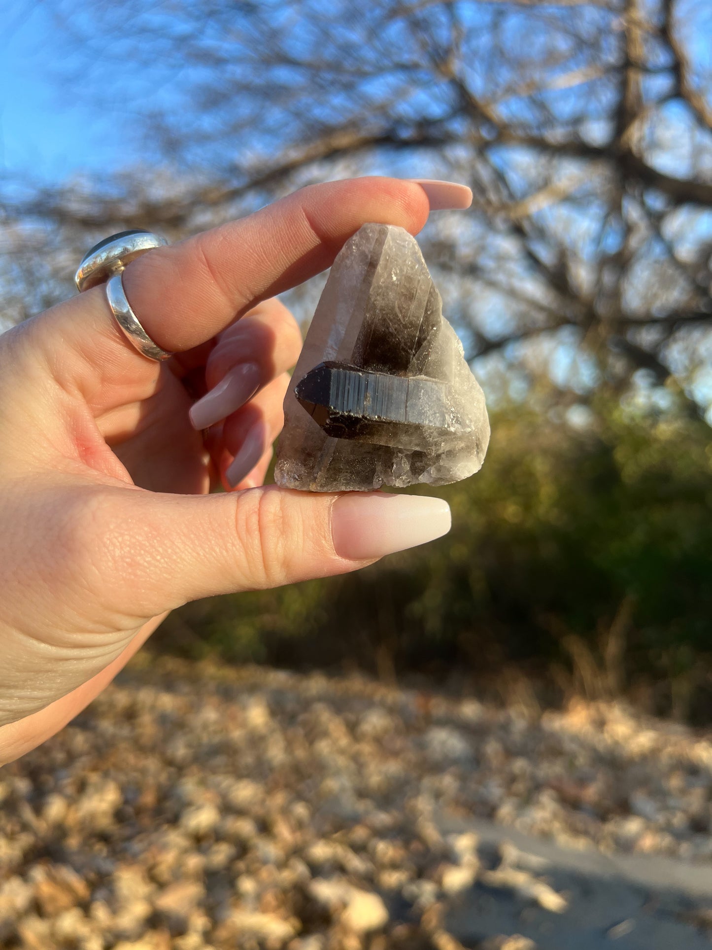 Small Smoky Quartz Cluster