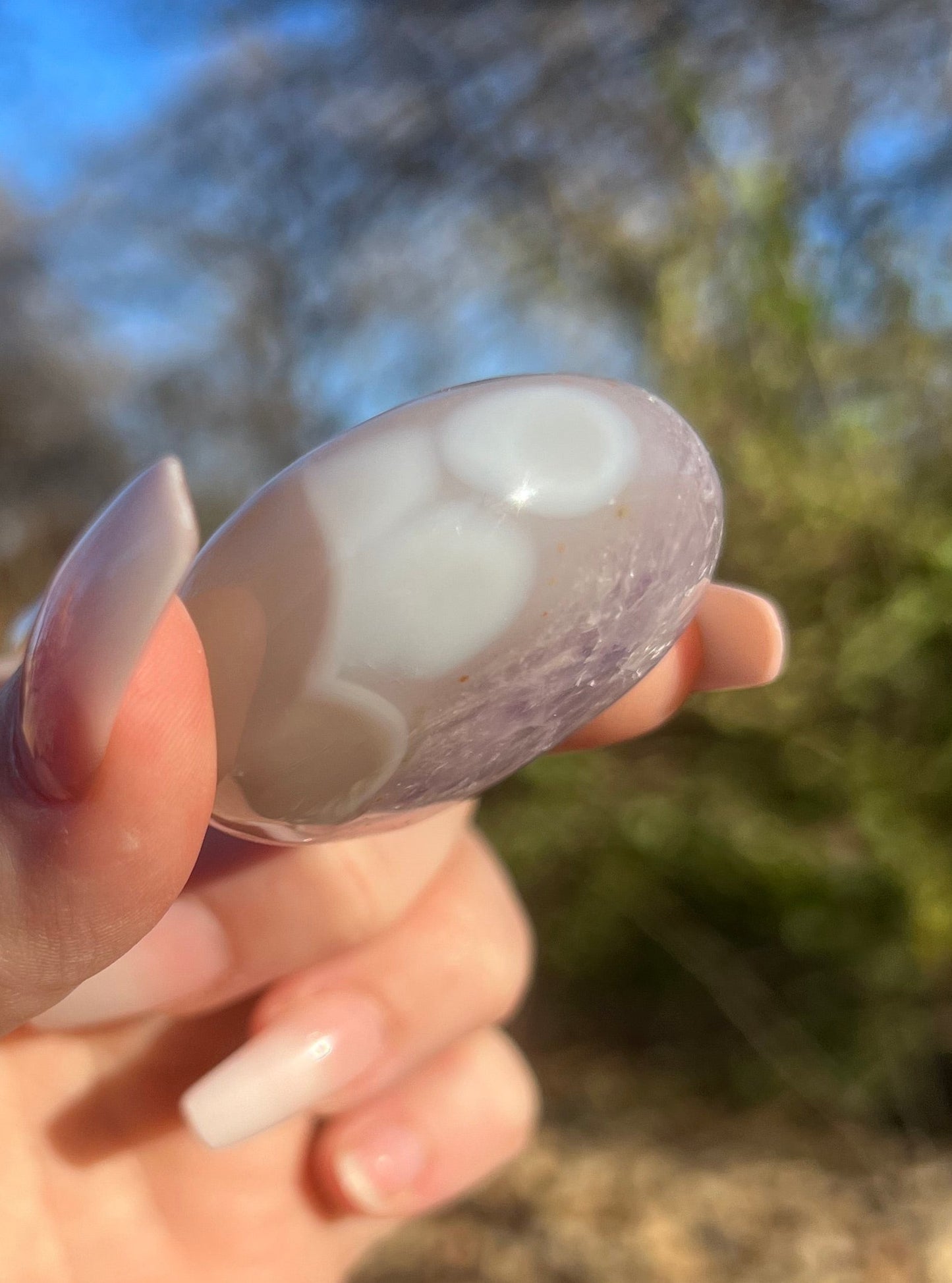 Rainbow Filled Amethyst Flower Agate Palm