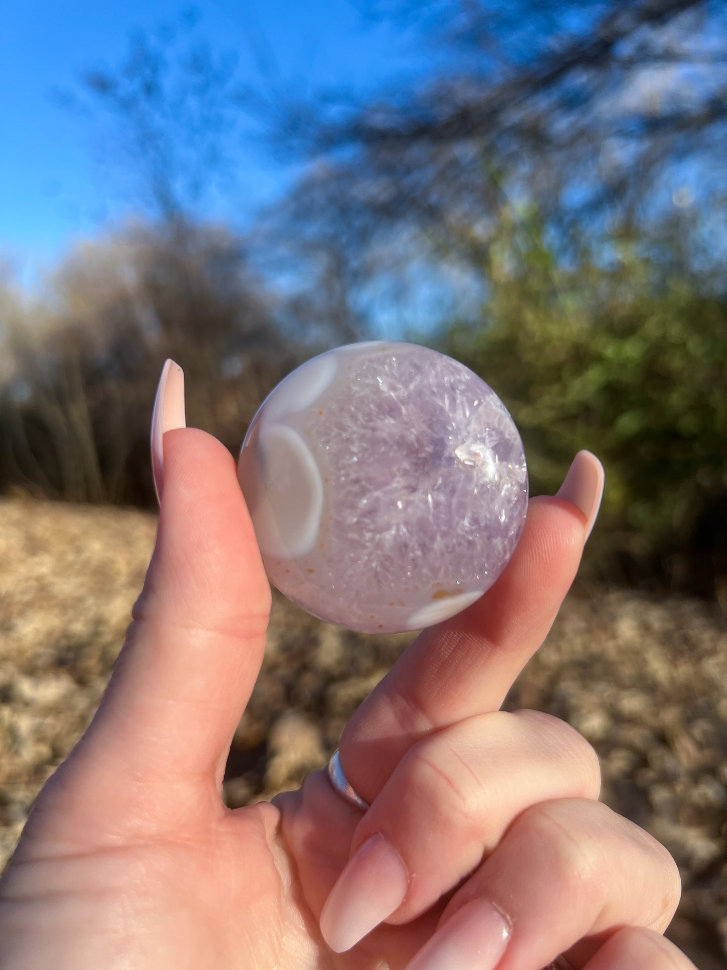 Rainbow Filled Amethyst Flower Agate Palm